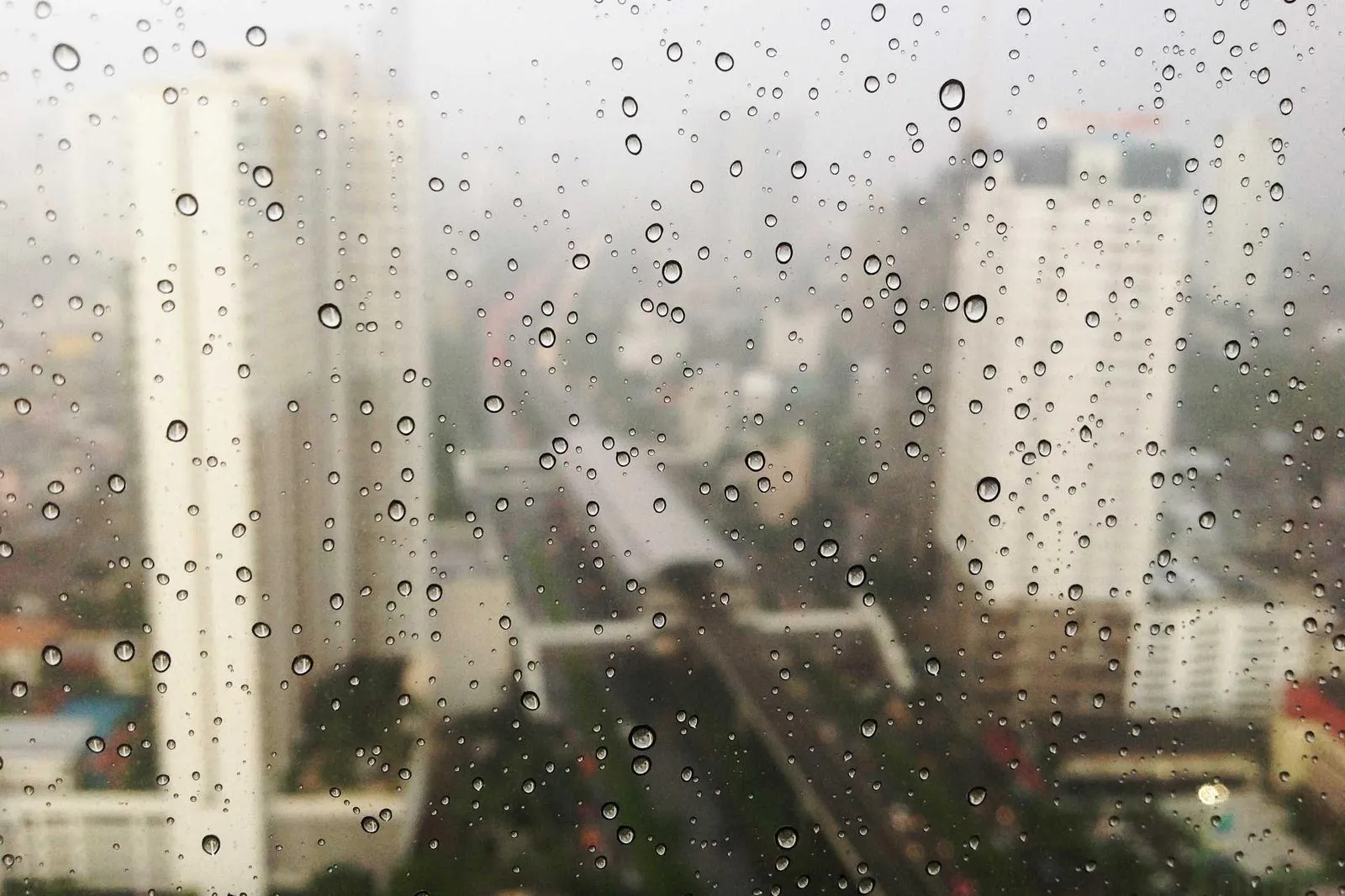 Photograph from Yara Sabbagh, The Long Way Round