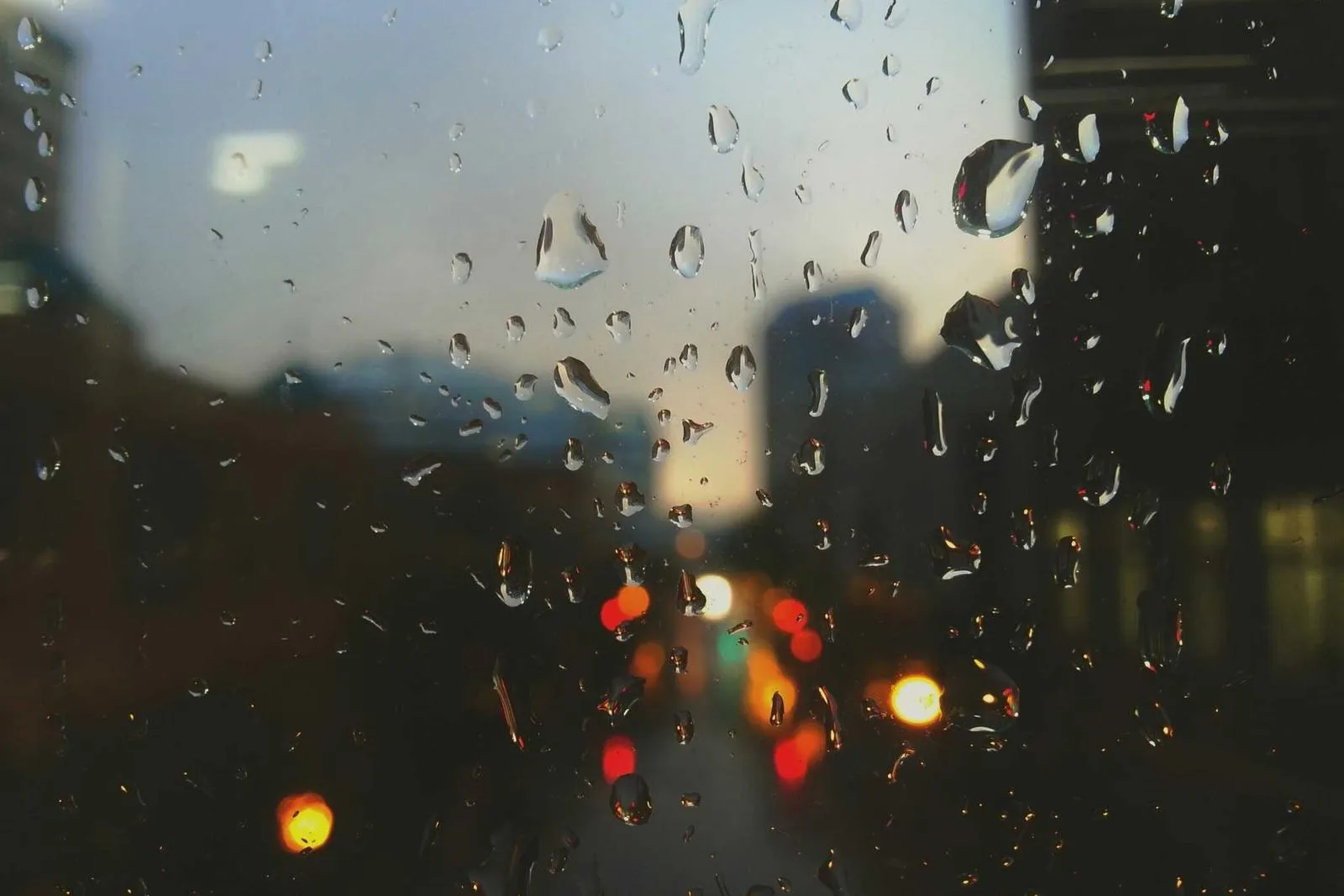 Photograph from Imani Okafor, The Long Way Round