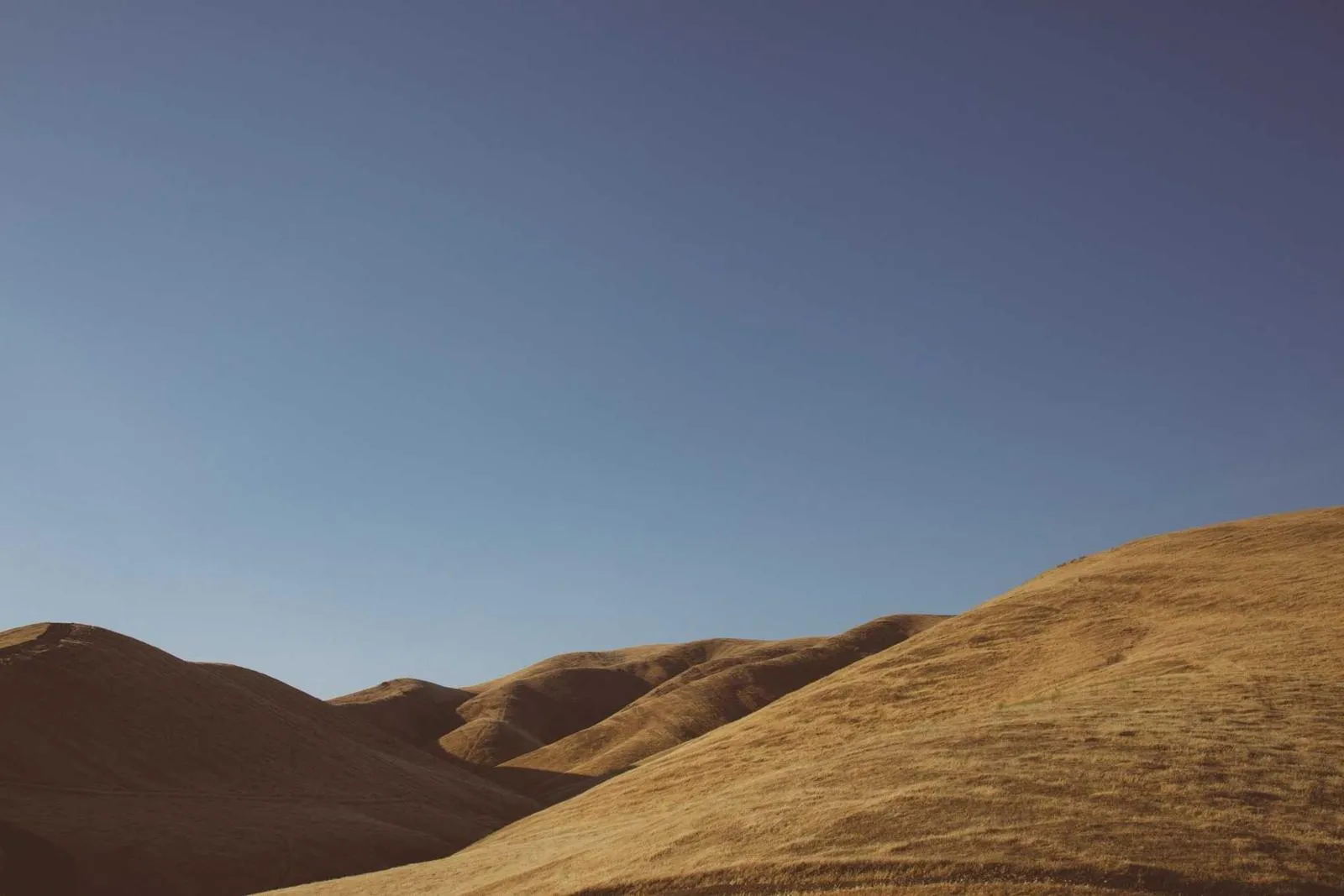 Photograph from Marcus Bell, The Ones Who Show Up