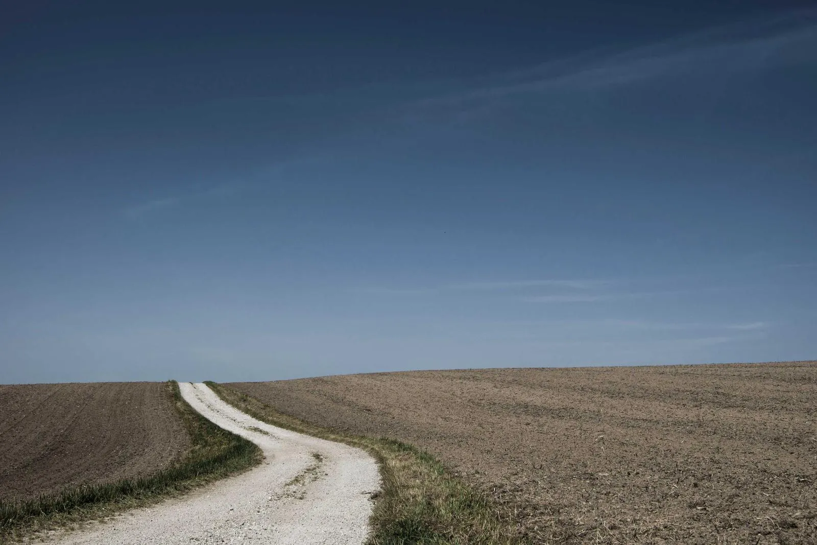Photograph from Elena Duarte, The Ones Who Show Up