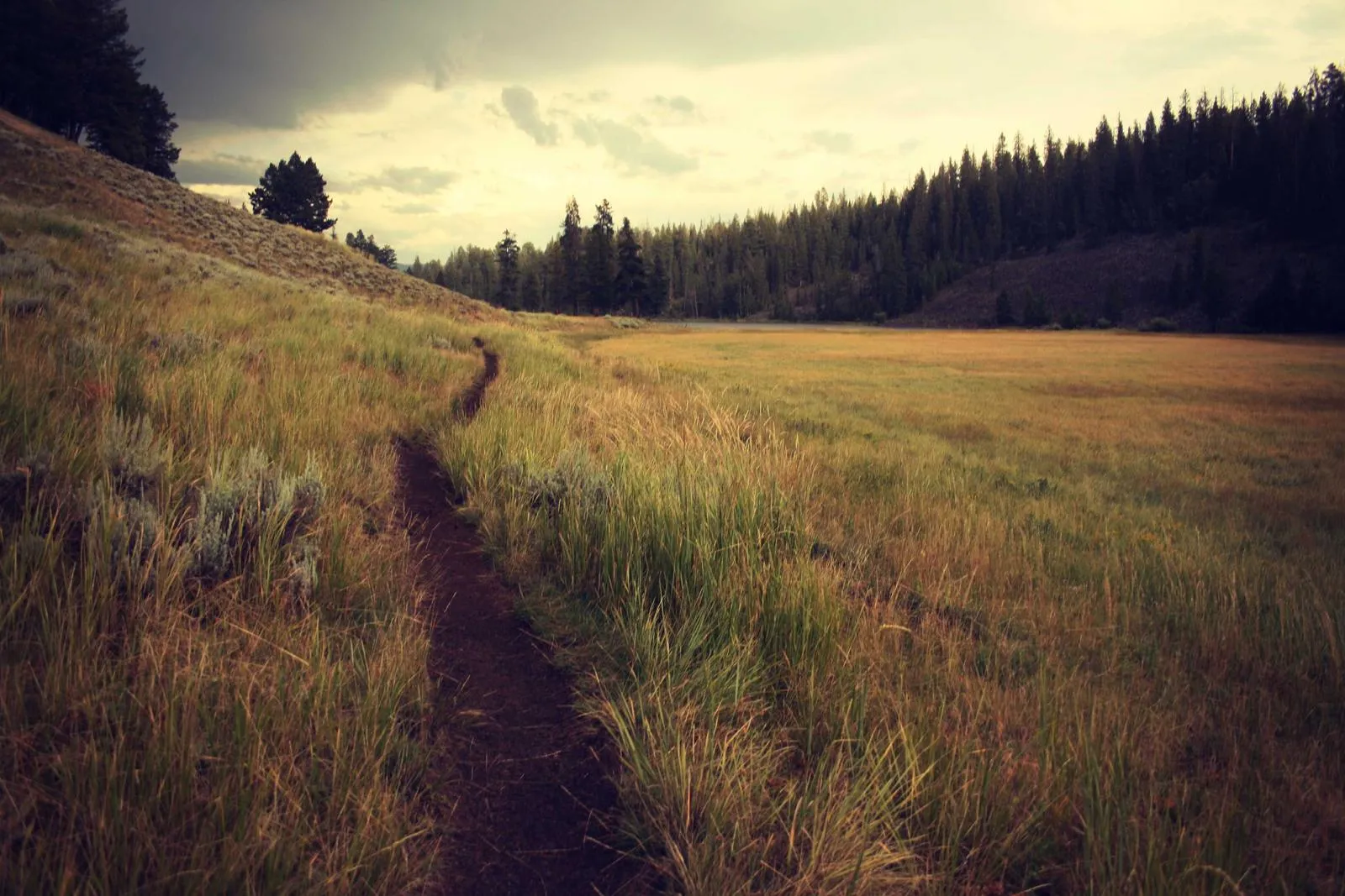Photograph from Nia Blackwood, The Ones Who Show Up