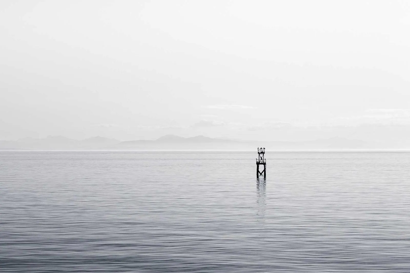 Photograph from Anya Sorokin, Before the First Dose